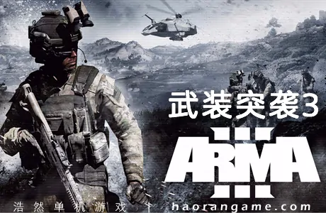 《武装突袭3 Arma 3》官方中文版