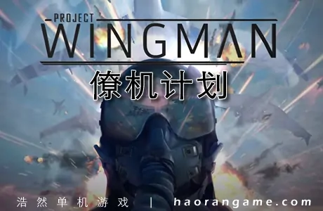 《僚机计划 Project Wingman》官方中文版|支持VR