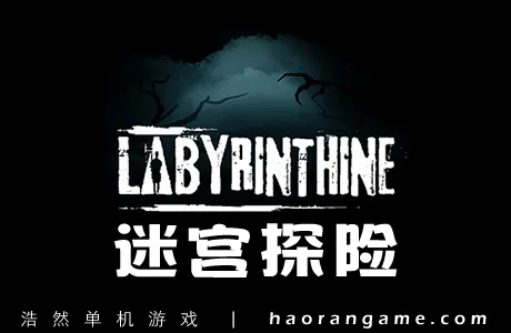 《迷宫探险 Labyrinthine》官方中文版