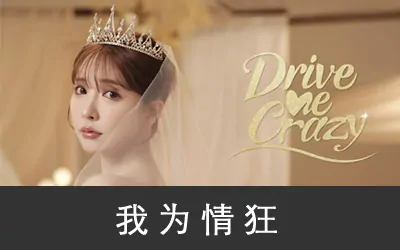 《我为情狂 Drive Me Crazy》官方中文版