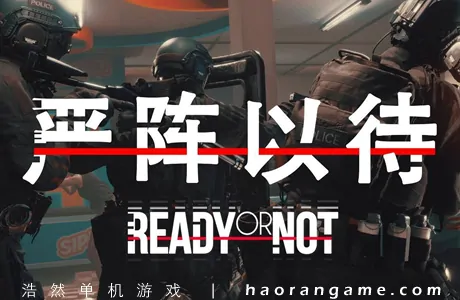 《严阵以待 Ready or Not》官方中文版|联机版