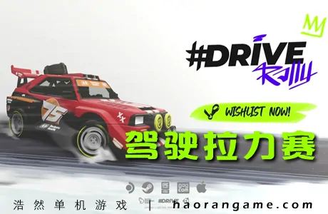 《驾驶拉力赛 #DRIVE Rally》官方中文版