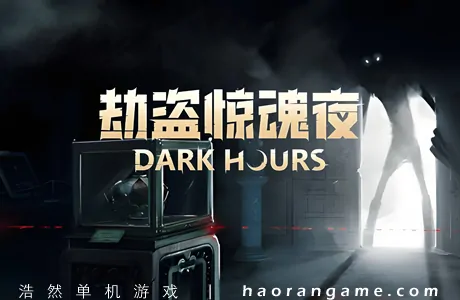 《劫盗惊魂夜 Dark Hours》官方中文版|支持联机