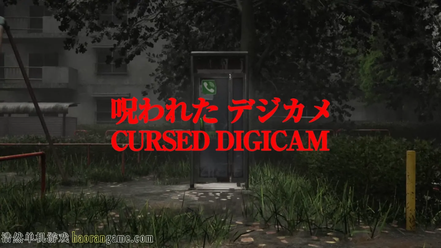 《被诅咒的数码相机 Cursed Digicam》官方中文版