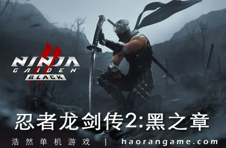 《忍者龙剑传2：黑之章 NINJA GAIDEN 2 Black》官方中文版