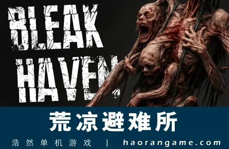 《荒凉避难所 Bleak Haven》官方中文版