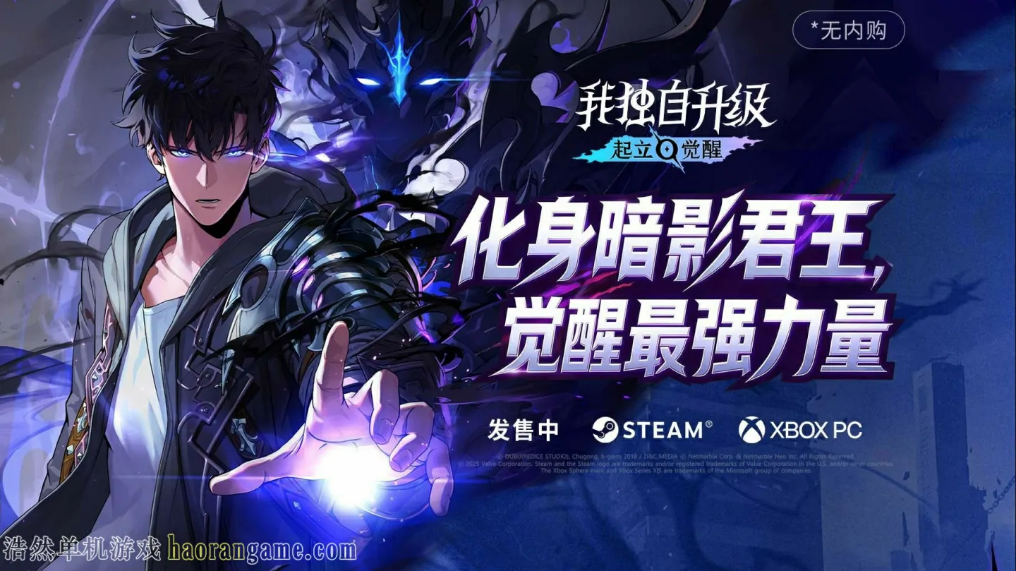 《我独自升级：起立·觉醒 Solo Leveling: ARISE OVERDRIVE》官方中文版|联机版