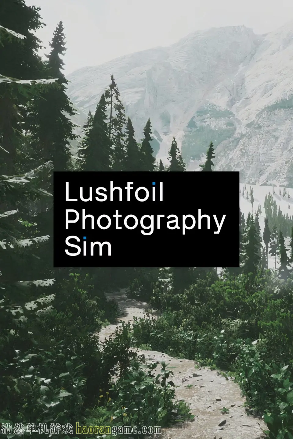 《模拟美景摄影 Lushfoil Photography Sim》官方中文版 《模拟美景摄影 Lushfoil Photography Sim》官方中文版