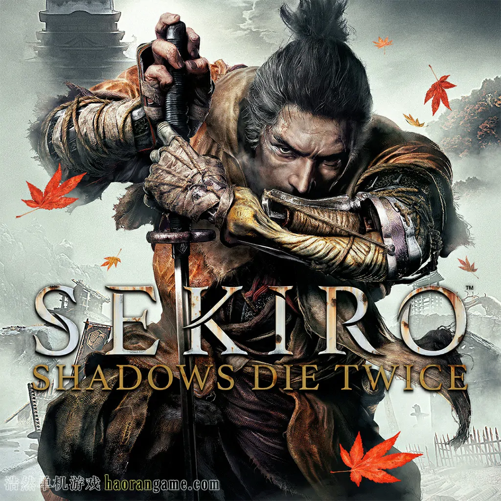 《只狼：影逝二度 Sekiro: Shadows Die Twice》官方中文版