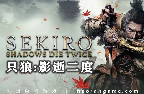 《只狼：影逝二度 Sekiro: Shadows Die Twice》官方中文版