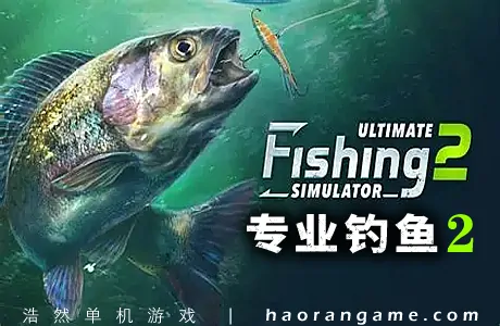 《专业钓鱼2 Professional Fishing 2》官方中文版