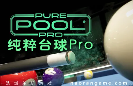 《纯粹台球Pro Pure Pool Pro》官方中文版