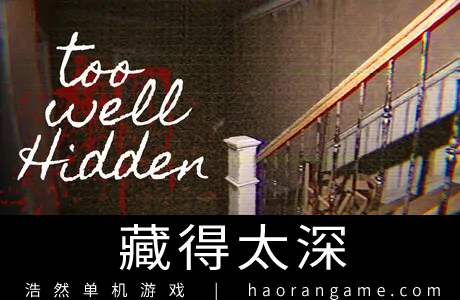 《藏得太深 Too Well Hidden》官方中文版