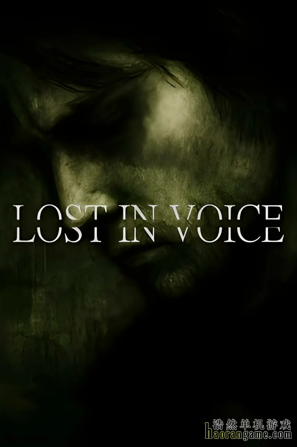 《迷失于声音中 Lost in Voice》官方中文版
