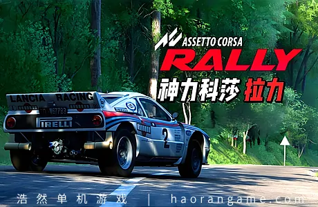 《神力科莎：拉力 Assetto Corsa Rally》官方中文版